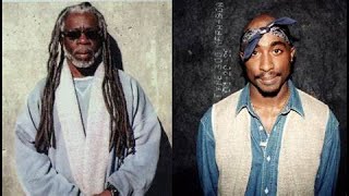 "Dr. Mutulu Shakur FREED!!! 2Pac's Stepfather, Revolutionary & Co-Author Of THUG LIFE Code"