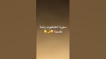 #القرآن_الكريم #اكسبلور #راحة_نفسية #تيك_توك #سورة_البقرة #آية_الكرسي #سورةالرحمن #سورة_العنكبوت