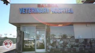 Balboa Veterinary Hospital - Short | San Diego, CA
