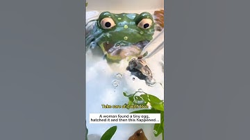 Hatching a strange egg #animals  #lovestory #wildlife #wildliferescue #cute #nature#turtle #love