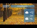 Прогноз погоды в Нижнекамске на 7-е октября 2023 года