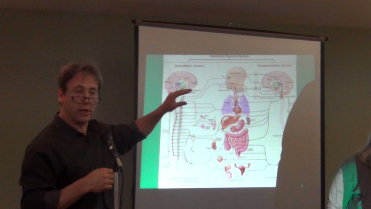 Part 1 EFT and the Neurobiology of Trauma; Trauma Tune-Up 2013