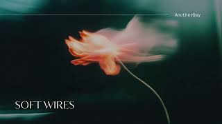 AnotherDay - Soft Wires screenshot 4