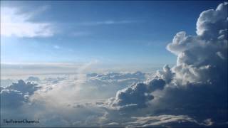 Otto Knows - Parachute HQ