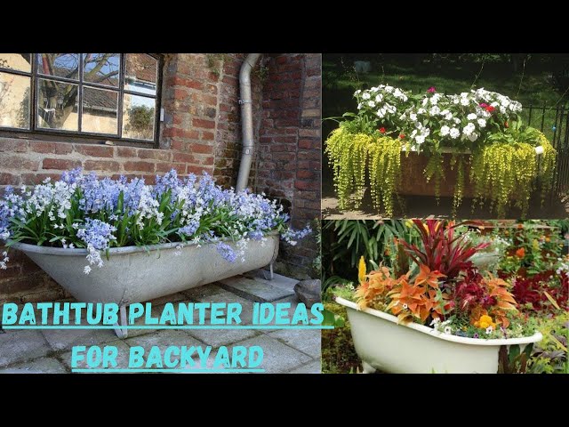 Bathtub Planter Ideas for Backyard - YouTube