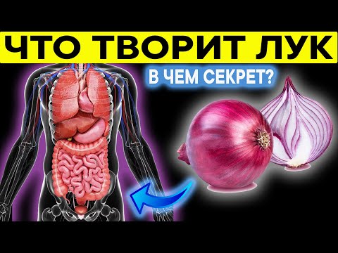 Что ТВОРИТ ЛУК