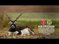 NAURADEHI WILDLIFE SANCTUARY  -  A Documentary Film