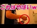 おもしろ海外ドッキリ〜わさび入り歯磨き粉を使った結果ｗｗｗ