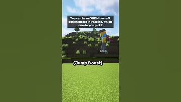 You Can Only Choose ONE Minecraft Potion…