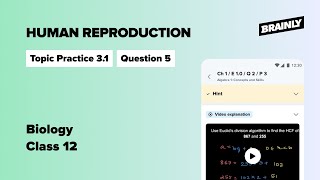 List the different parts of human oviduct through which......Class 12 , Topic Practice 1 - 3.1, Q. 5