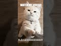 My first meme. #memes #funny #cat #cute #please #pleasewatch #please subscribe