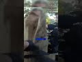 He had a WHAT?? #funny #police