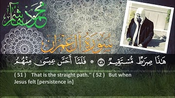 الشيخ محمود هاشم - سورة آل عمران من الآية 38 إلى الآية 63