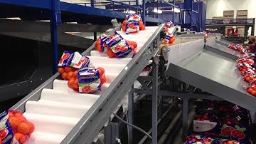 Tilt Tables for Bag Line 2