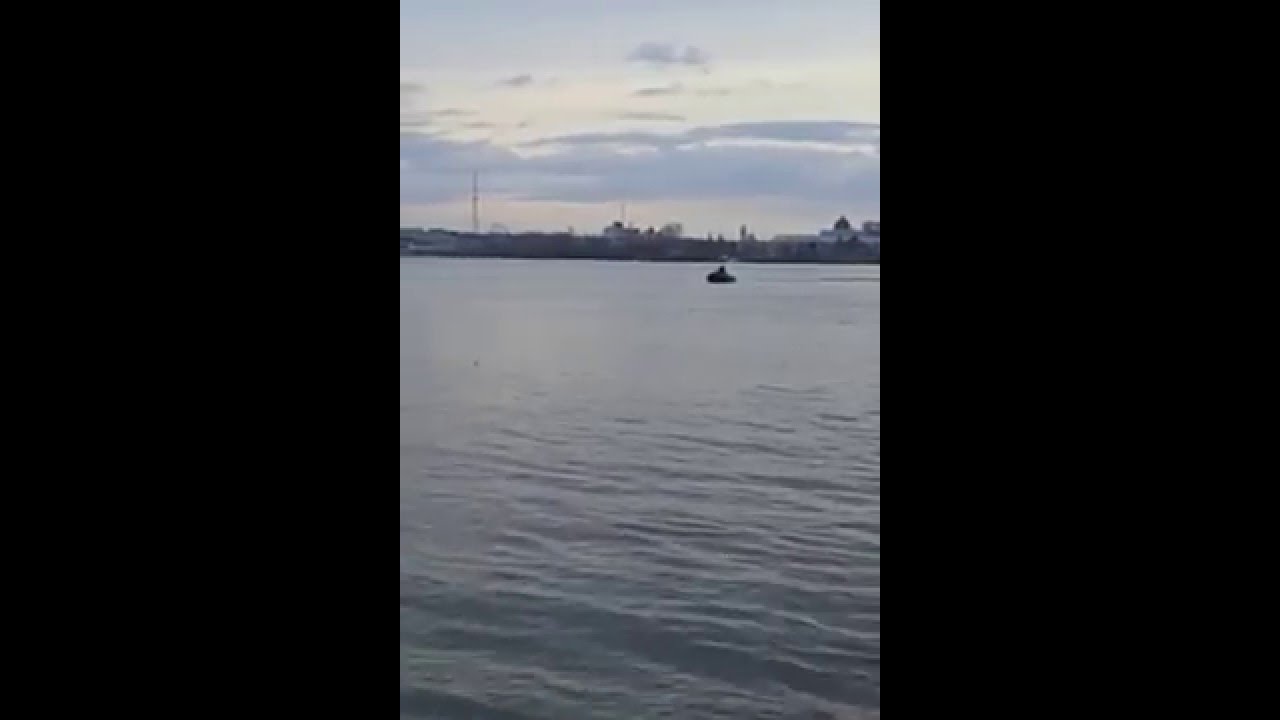 Йошкар-Ола-Лодка BRIG Baltik 350 + Yamaha 15FMHS