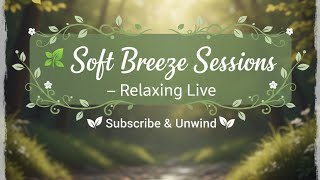 🌿 Soft Breeze Sessions – Relaxing Live | Subscribe & Unwind screenshot 4