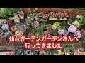 【仙台ガーデンガーデンさんへ伺いました】お花の大海原を堪能。ペチュニアが、とにかくすごい。PWさんは夏マスト。近江さんと再会✨