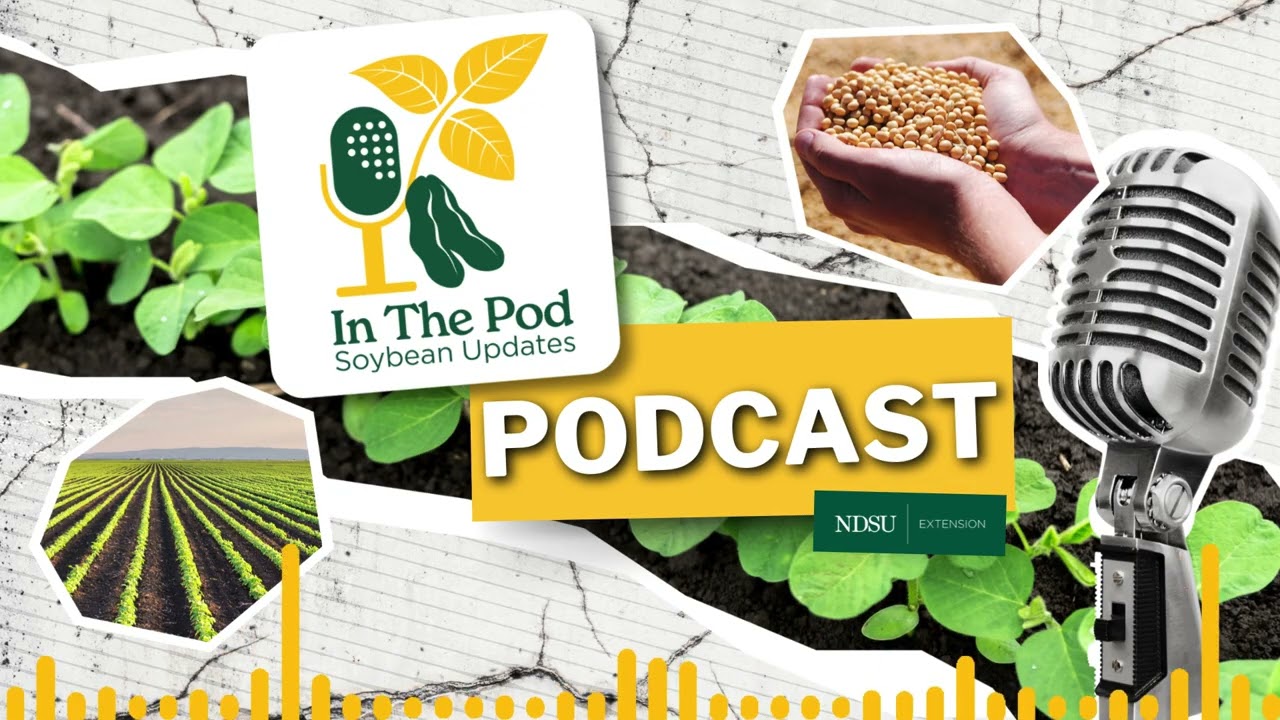 From Start to Finish: Recapping the 2025 Season (Part One) - In the Pod Soybean Update