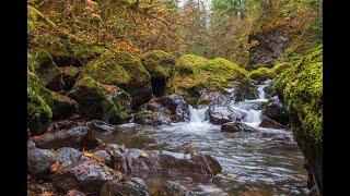 Big Quilcene River: Full Vlog