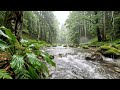 Deep Relaxation & Peaceful Sleep Music | Calming Piano & Nature Sounds