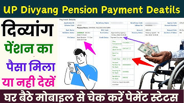 UP Divyang Pension Payment Details Check | दिव्यांग पेंशन का पैसा मिला या नहीं ऐसे चेक करें