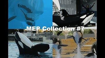 MEP Collection #7