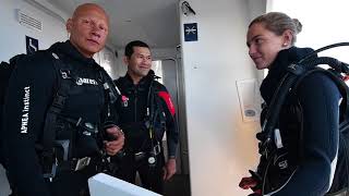DIVING WITH GIANT BLUE FIN TUNA - SUSHI HIRO THAILAND