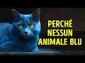 Perché Gli Animali Dai Colori Blu Sono Davvero Rari