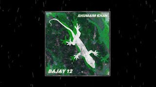 BAJAY 12 - @Its_me_shomi | official Music Audio