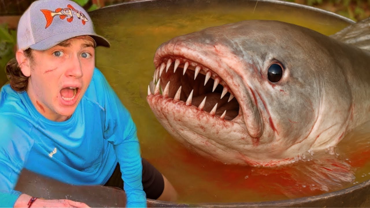 ¡Atrapé al monstruo que atacaba a mis peces!