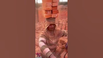 Smart Way to Transport Bricks || Amazing Skills