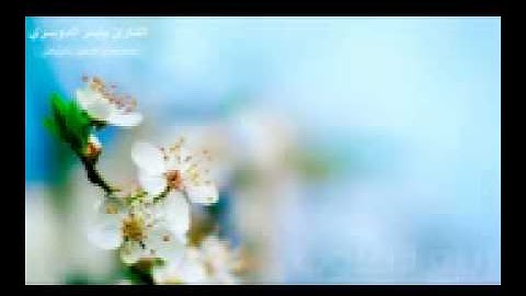 ياسر الدوسري   سورة ق   المصحف المرتل خاشعة   YouTube