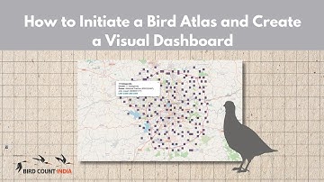 How to Initiate a Bird Atlas and Create a Visual Dashboard| Webinar Recording