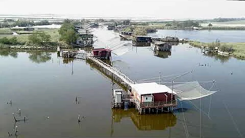 Come visitare le valli di Comacchio?