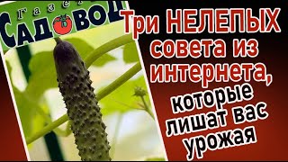 ТРИ НЕЛЕПЫХ СОВЕТА, которые могут оставить вас без урожая