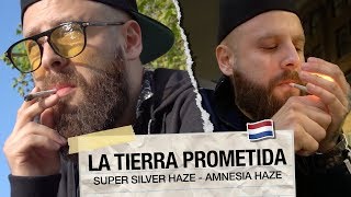 La Tierra Prometida - SUPER SILVER HAZE & AMNESIA HAZE