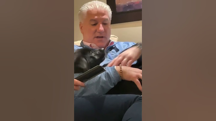 Dads With The Dog They Didn't Want