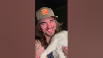 Death Sequence by Collapse Revive #metalcore #metal #vocals