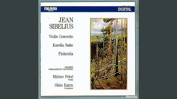 Violin Concerto in D Minor, Op. 47: I. Allegro moderato