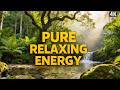 Peaceful River &amp; Birds Chirping 🌿 Relaxing Nature Sounds for Sleep, Study