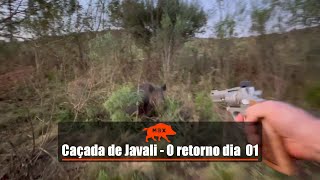 Caçada de javali - O retorno dia 01