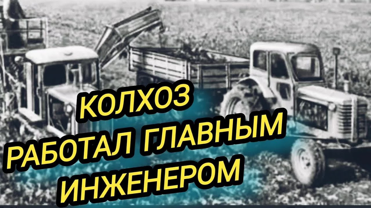 работал ГЛАВНЫМ ИНЖЕНЕРОМ в Колхозе как дебил!сразу уволился через 3 ...