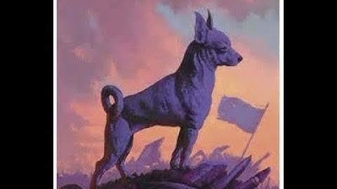 Busting the Myths About Coding