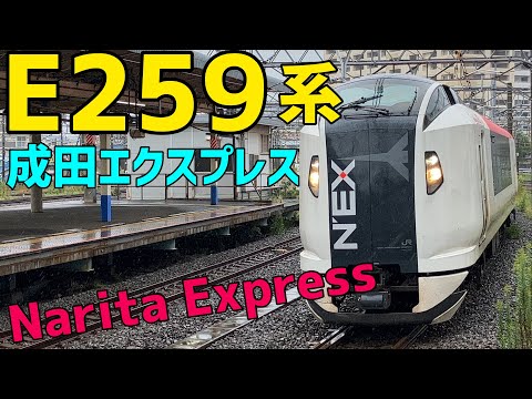 🟥E259系　成田エクスプレス　E259 Series  Narita Express ✈️