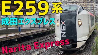 🟥E259系 成田エクスプレス E259 Series Narita Express ✈️