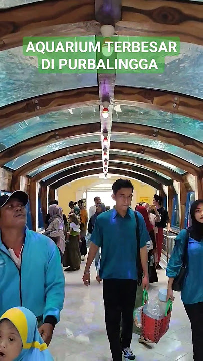 📍 Purbasari Pancuran Mas - Purbalingga #shortvideo #shorts #aquarium #purbalingga #wisata