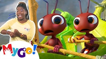 Row, Row, Row Your Boat | MyGo! Sign Language For Kids | CoComelon - Nursery Rhymes | ASL