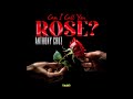 Anthony Cruz - Can I Call You Rose | Audio Visualizar