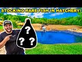 Stocking Backyard HATCHERY with RARE FISH!!! (Never Stocked these Before)