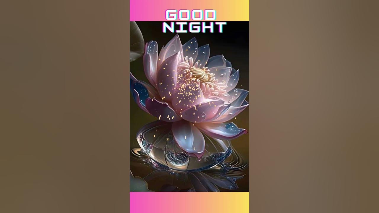 good night status|| good night whatsapp status video#song#goodnight #shortsvideo#youtubeshorts7july
